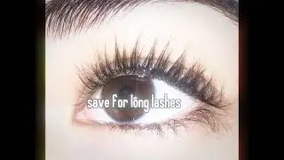 Long Curl Lashes | Subliminal Affirmations