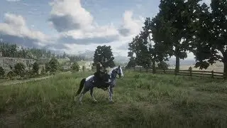 Red Dead Redemption 2 - Freeroam riding Silver Dapple Pinto Missouri Fox Trotter