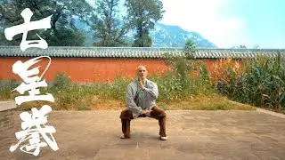 Qixing Quan - Dragon Shape