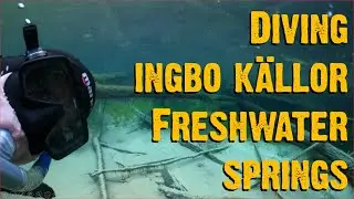 Diving Ingbo K&auml;llor freshwater springs - Video 39 - In the wild with Chris