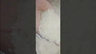 raw rice ASMR🌾💝 #asmr #odlysatisfying #satisfying #asmrsounds #relaxationsounds @calmhands asmr