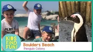 Boulders Beach &ndash; Kids Find Fun with Penguins at Boulders Beach (Episode 17)