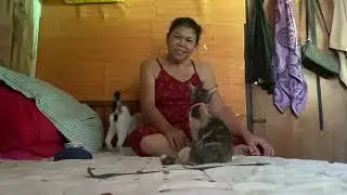 Andami ko ng pusa😅🥰