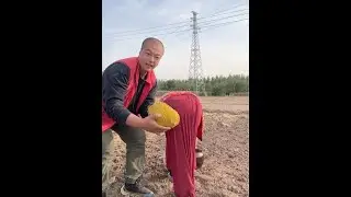 Rural Life Is Full Of Joy🤣😂😆Best Funny Video! #funny #comedy #vlog #daily #prank