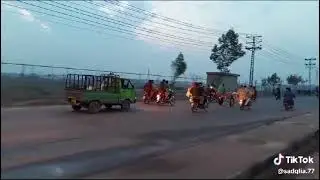 Donkey race
