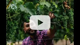 Rack & Riddle Harvest Wrap-Up 2025