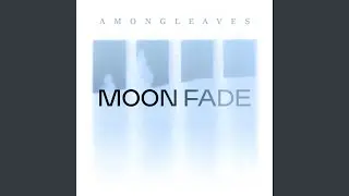 The Moon Looks Down At The Earth