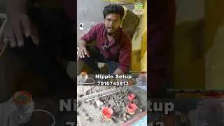 பிறந்து ஒருநாள் ஆன காடை குஞ்சிகள்  தண்ணீர் குடிக்க Nipple System சிறந்ததா?   | Quail Farm | TFO