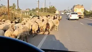 New vlog bolero camper car driving  sikka to Vadinar 