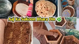 Daily Routine With Gardening 🌱 | Peaceful Day Vlog | Hyderabadi mom's vlog 