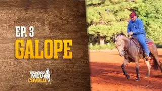 ANDAMENTOS DO CAVALO: GALOPE