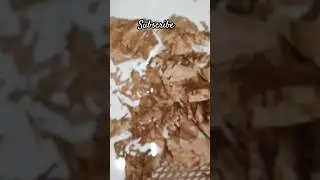 ASMR #paper #asmr #asmrsounds #asmrtingles #oddlysatisfying#satisfying#sound#crush #relax#relaxing