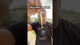#crankbait #oldschoolfishing #bassfishinglures #bassfishingtips #pondfishing #bassfishingismylife