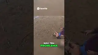 Nossa, pegou! Imagens Engra&ccedil;adas e Inesperadas! #shorts