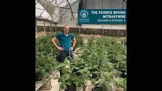 The Science Behind Mitragynine
