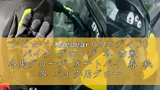 レビュー Kaedear(カエディア) バイク グローブ 冬 防寒 冬用グローブ オートバイ 春 秋 冬 バイク用グローブ プロテクター カーボン スマホ対応 防風 裏起毛 サーモストリート KDR-