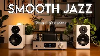Smooth Soul R&B Lounge 🌙🎶 Midnight Melodies for Peaceful Rest & Quiet Reflections 🎧