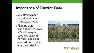 Soybean Management by Maturity Group
