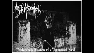 Acid'Alcohol - Melancholic Dreams of a Tormented Soul (2024)