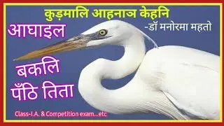 आघाइल बकलि पँठि तिता कुड़मालि कहनि || আঘাইল বকলি পঠি তিতা || Kudmali Ahanay Kehni