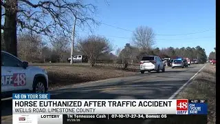 Crews responding to horse-vehicle collision in Limestone County