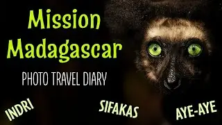 Pro Andy Rouse visits Madagascar lemurs, Indri, Aye Aye and chameleons with sony A1 Mk2