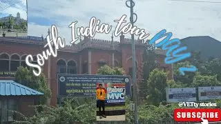 English vlog