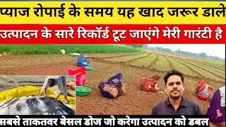प्याज चौपाई में सबसे ताकतवर खाद । pyaj mein kaun sa khad dalen। pyaj ki kheti kaise karen। Onion।