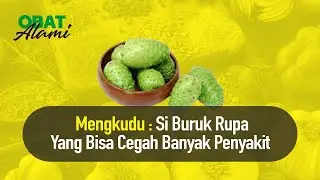 Obat Alami Mencegah Kolesterol dan Mencegah Diabetes  | Obat Alami