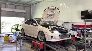 FP black 2011 STI hits the dyno