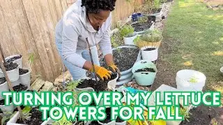 Turning Over My DIY Lettuce Tower for Fall Planting | Blooms to Bounty