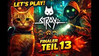 STRAY Gameplay Deutsch 🐱 | Rumpki | Finale | Teil 13