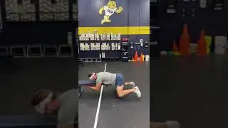 Reverse Hypers - on bench