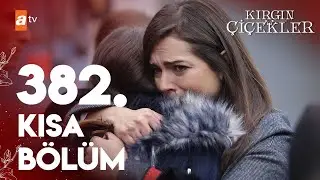 Kırgın Çiçekler Özel Kısa Bölümler | 382
