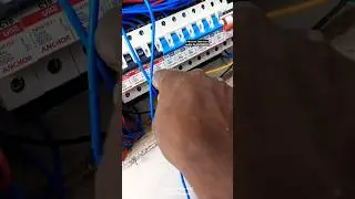 spn 12way MCB Box wiring completed