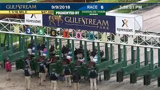 Gulfstream Park Replay Show | September 9, 2018