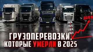 Куча долгов и проблем. Дармовозные движения 2025 г. Заработки отсутствуют. 