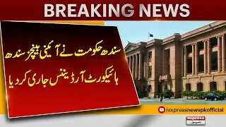 Sindh Government Issues Ordinance on Constitutional Benches in High Court | Pakistan News