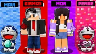 HANGİ GİZLİ RENGİ SE&Ccedil;MELİYİM - 😱 Minecraft