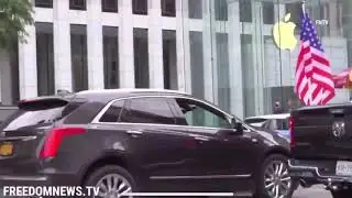 Antifa throws eggs at Trump Supporters Cars and Steal there flags