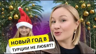 Почему в Турции каждый год спорят из-за Нового года и ёлок? Жизнь в Турции