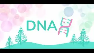 HPV DNA Testing | Quick Clip