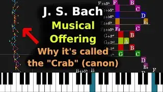 Canon &agrave; 2 | Musical Offering | J. S. Bach | Chord analysis & visualization