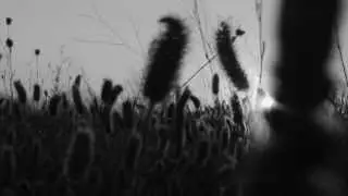 LIGHT INSIDE - TRAILER EP 2013 