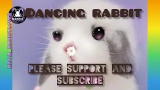 rabbit dancing#rabbit #rabbitbunny #rabbitbabies #rabbitlovers #rabbitlifestyle ##rabbitasmr