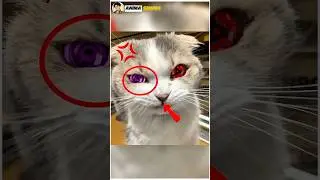 Naruto Jutsu In Real Life Part 3 😱🔥 | Most Realistic Ever