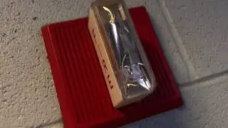 Field Work: Elementary School Fire Alarm Test Continuous Wheelock MTs