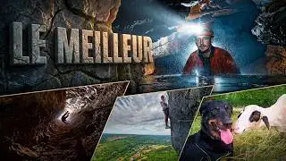 Le meilleur sur le terrain de ces dernières années