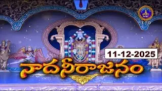Nadaneerajanam | Nadhalayam | Sri Macherla Venkateswarlu&Group | TTD Tirumala | 11-12-2025 | SVBCTTD
