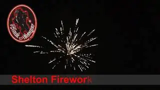 SF-840 Caution Flammable 19 shot